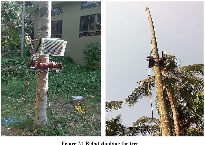 Arecanut Tree Climber